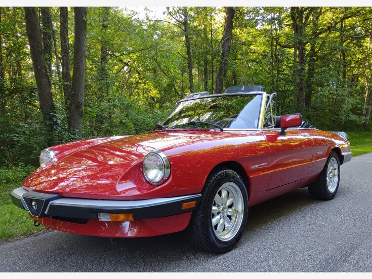 Photo for 1987 Alfa Romeo Spider Veloce